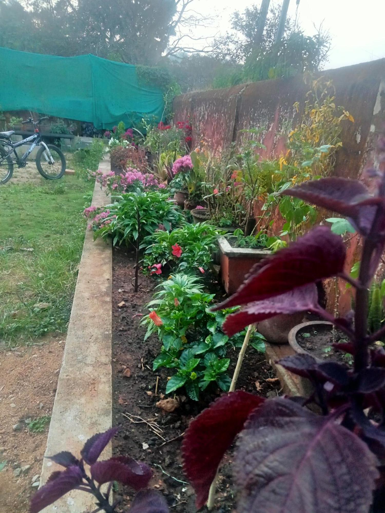 Eshwarkrupa Homestay Madikeri Εξωτερικό φωτογραφία