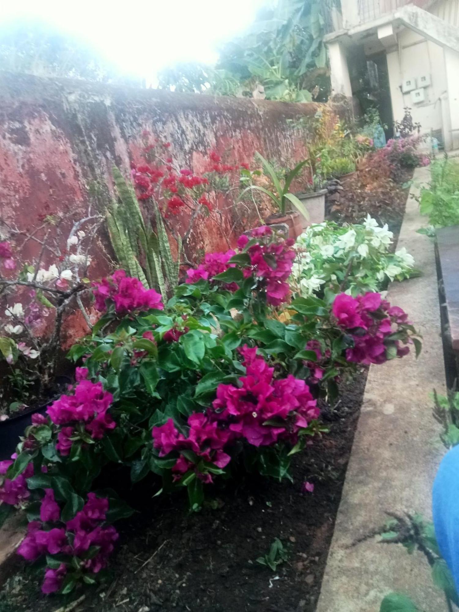 Eshwarkrupa Homestay Madikeri Εξωτερικό φωτογραφία